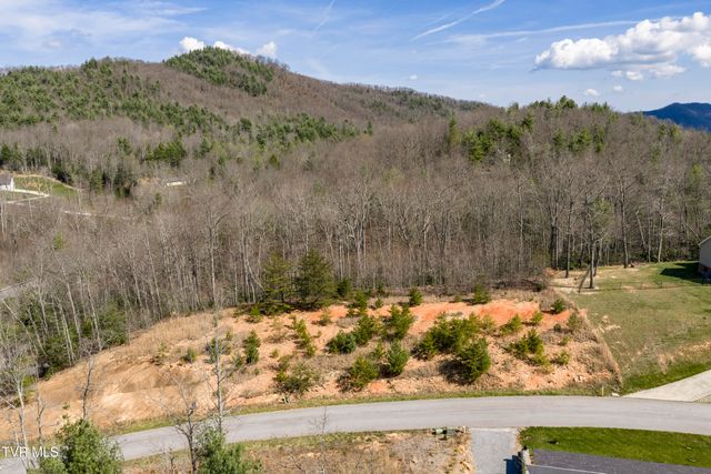 Lot 47 Homestead Drive, Unicoi, TN 37692