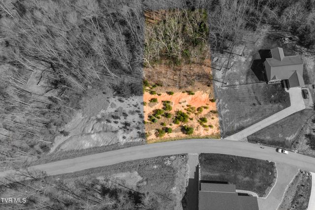 Lot 47 Homestead Drive, Unicoi, TN 37692