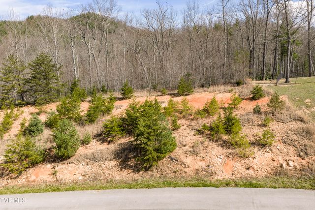 Lot 47 Homestead Drive, Unicoi, TN 37692