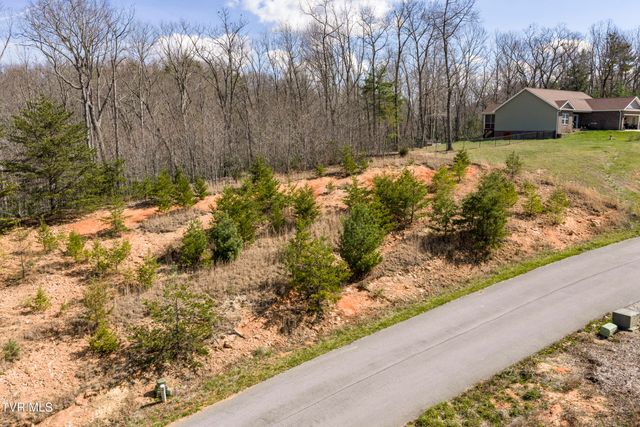 Lot 47 Homestead Drive, Unicoi, TN 37692