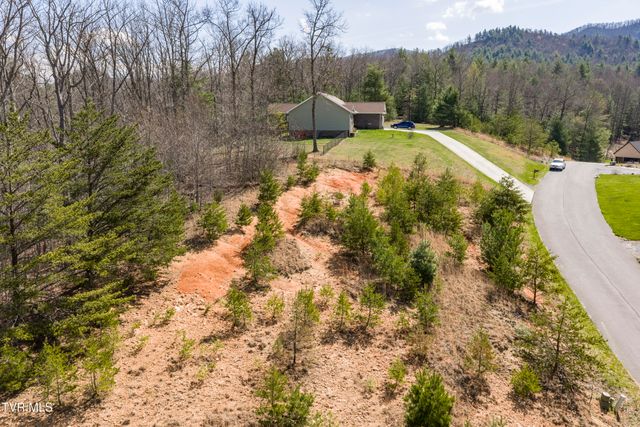 Lot 47 Homestead Drive, Unicoi, TN 37692