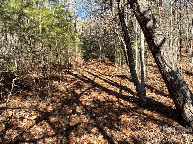 9999 Sealey Lane, Leicester, NC 28748