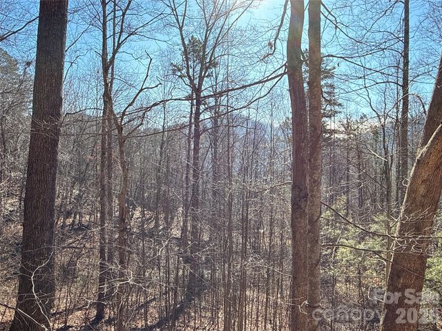 9999 Sealey Lane, Leicester, NC 28748