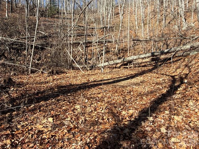 9999 Sealey Lane, Leicester, NC 28748