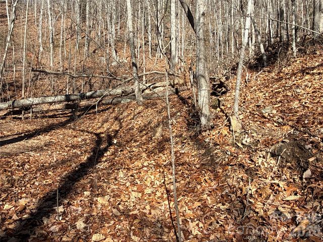 9999 Sealey Lane, Leicester, NC 28748