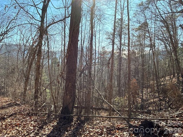 9999 Sealey Lane, Leicester, NC 28748