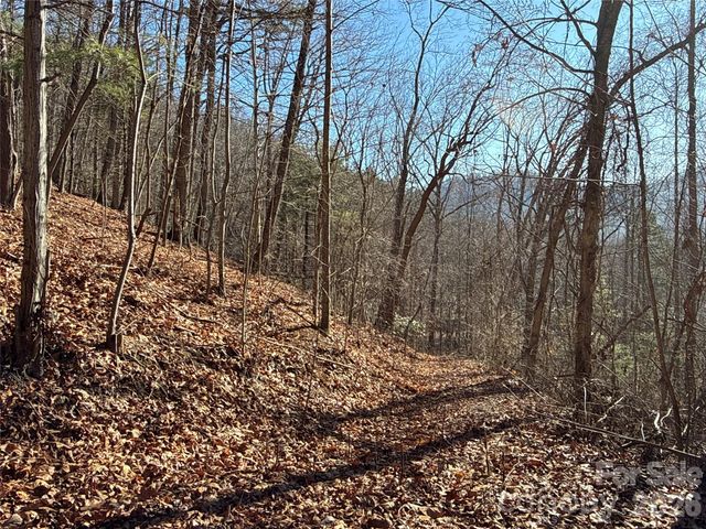 9999 Sealey Lane, Leicester, NC 28748