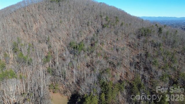 9999 Sealey Lane, Leicester, NC 28748