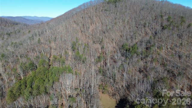 9999 Sealey Lane, Leicester, NC 28748