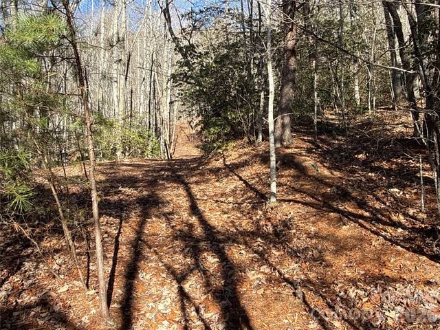 9999 Sealey Lane, Leicester, NC 28748