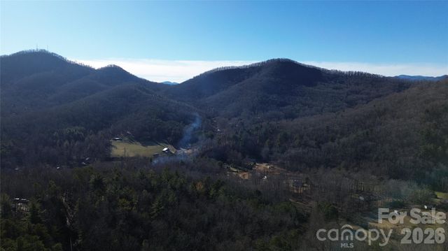 9999 Sealey Lane, Leicester, NC 28748