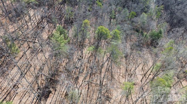 9999 Sealey Lane, Leicester, NC 28748