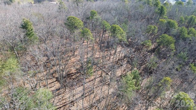 9999 Sealey Lane, Leicester, NC 28748