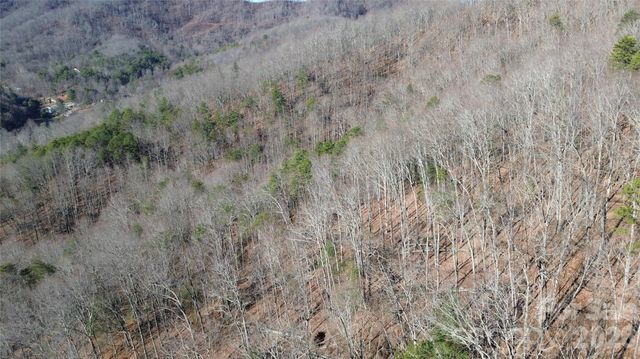 9999 Sealey Lane, Leicester, NC 28748