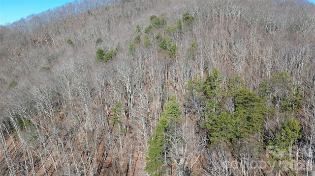 9999 Sealey Lane, Leicester, NC 28748