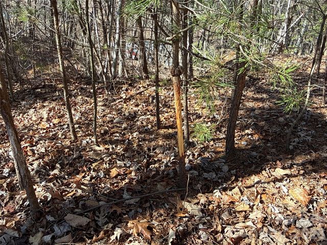 9999 Sealey Lane, Leicester, NC 28748