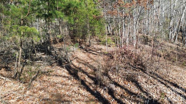 9999 Sealey Lane, Leicester, NC 28748