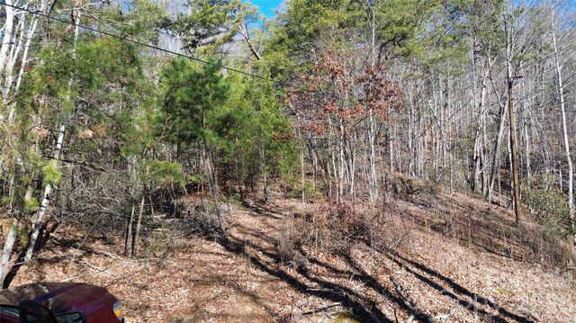 9999 Sealey Lane, Leicester, NC 28748