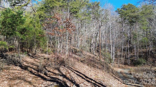 9999 Sealey Lane, Leicester, NC 28748