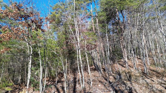 9999 Sealey Lane, Leicester, NC 28748