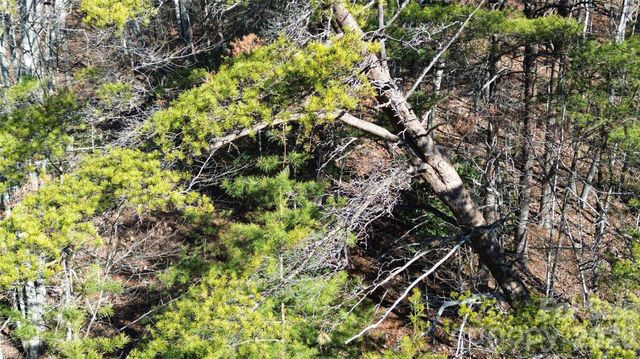 9999 Sealey Lane, Leicester, NC 28748