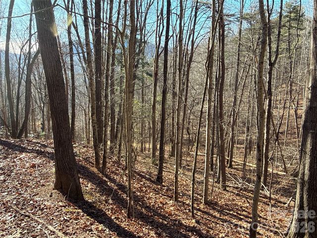 9999 Sealey Lane, Leicester, NC 28748