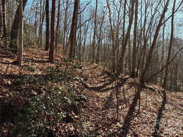 9999 Sealey Lane, Leicester, NC 28748