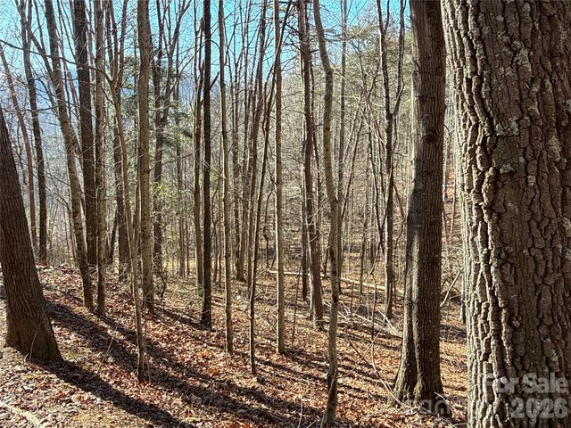 9999 Sealey Lane, Leicester, NC 28748