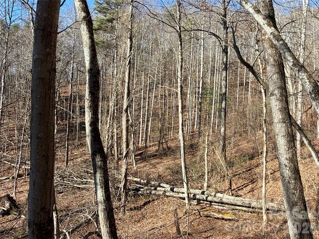 9999 Sealey Lane, Leicester, NC 28748