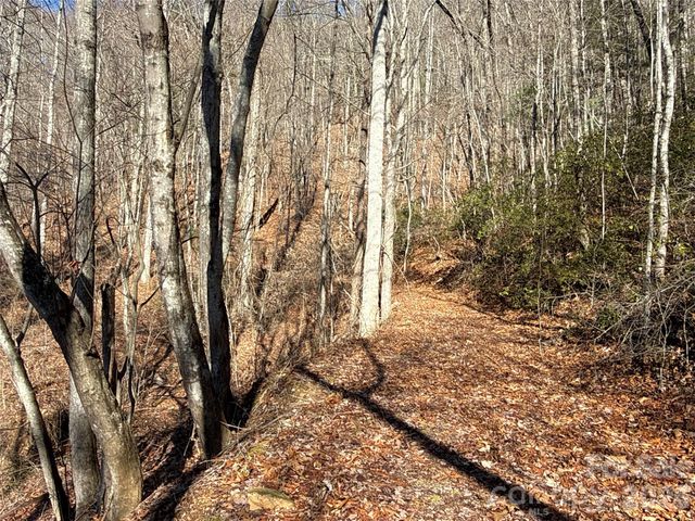 9999 Sealey Lane, Leicester, NC 28748