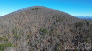 9999 Sealey Lane, Leicester, NC 28748