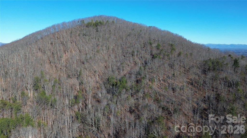 9999 Sealey Lane, Leicester, NC 28748