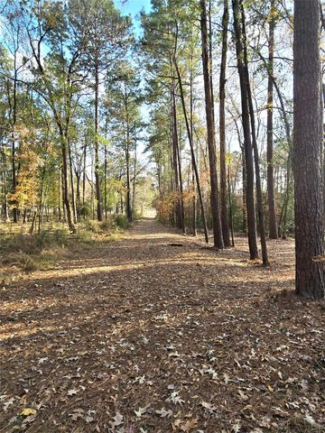 351 Dejardo Lane, Coldspring, TX 77331