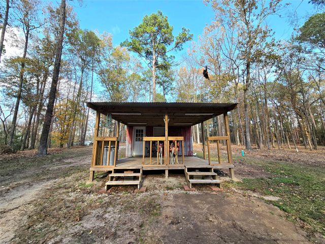 351 Dejardo Lane, Coldspring, TX 77331