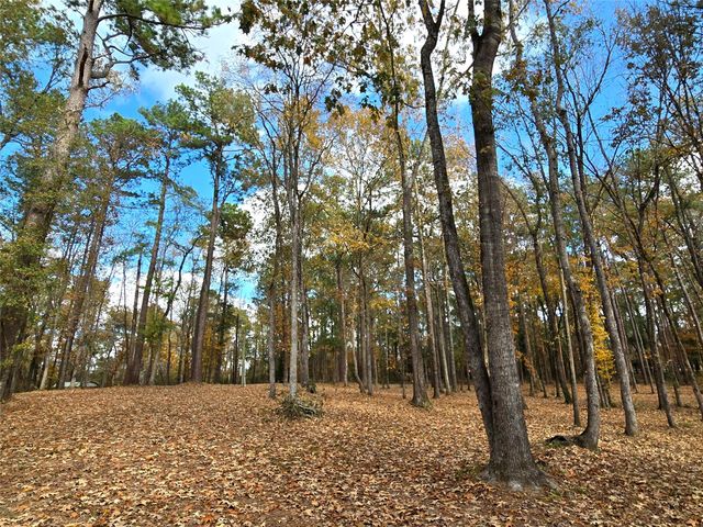 351 Dejardo Lane, Coldspring, TX 77331