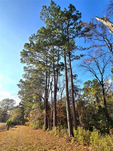 351 Dejardo Lane, Coldspring, TX 77331