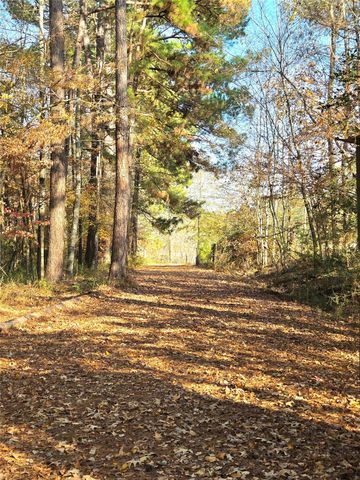 351 Dejardo Lane, Coldspring, TX 77331