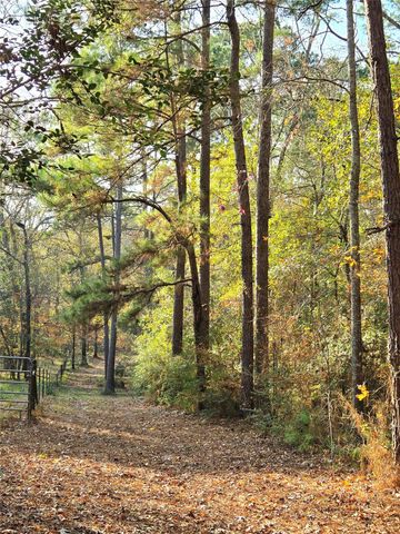 351 Dejardo Lane, Coldspring, TX 77331