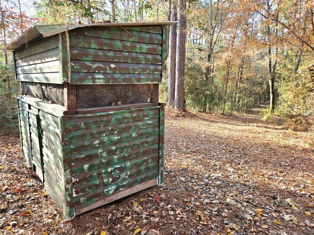 351 Dejardo Lane, Coldspring, TX 77331