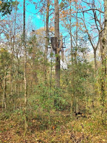 351 Dejardo Lane, Coldspring, TX 77331