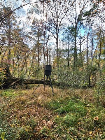 351 Dejardo Lane, Coldspring, TX 77331