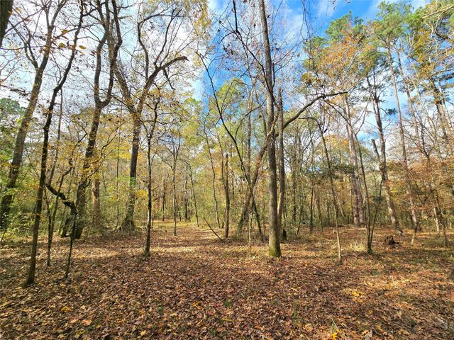 351 Dejardo Lane, Coldspring, TX 77331