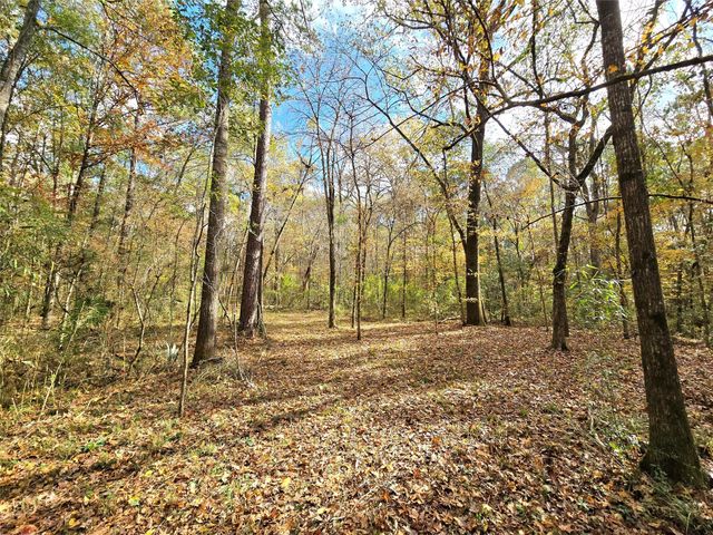 351 Dejardo Lane, Coldspring, TX 77331