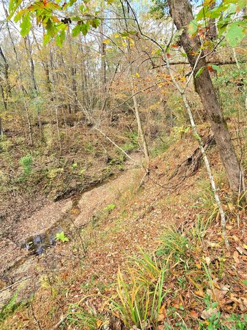 351 Dejardo Lane, Coldspring, TX 77331