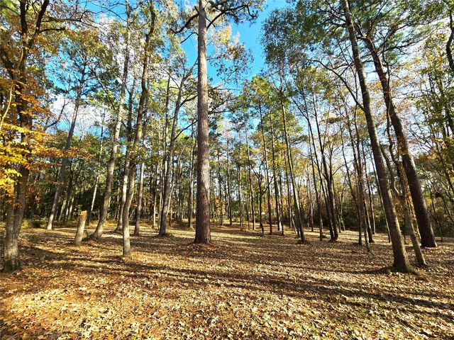 351 Dejardo Lane, Coldspring, TX 77331