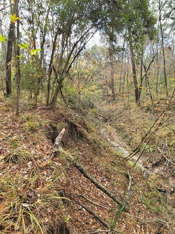 351 Dejardo Lane, Coldspring, TX 77331