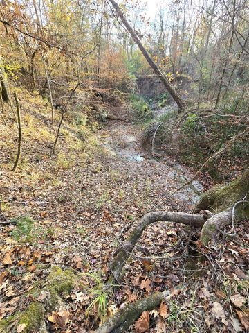 351 Dejardo Lane, Coldspring, TX 77331