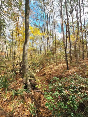 351 Dejardo Lane, Coldspring, TX 77331