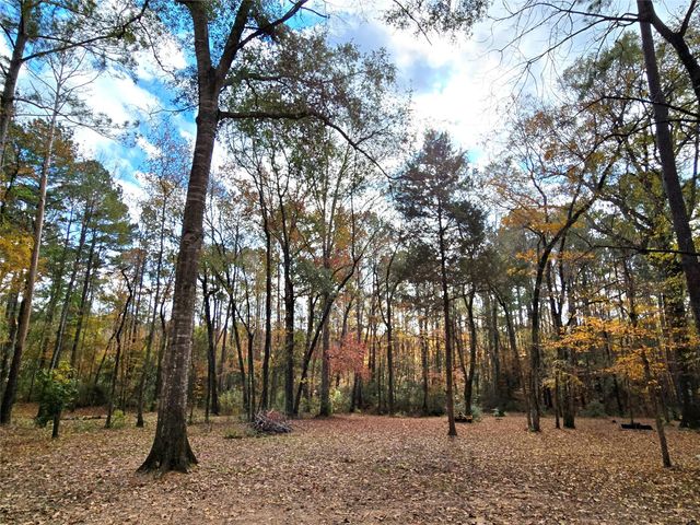 351 Dejardo Lane, Coldspring, TX 77331