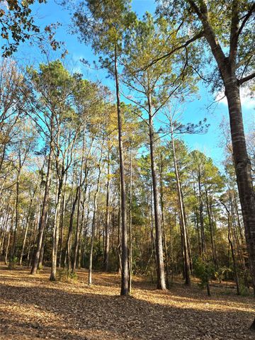 351 Dejardo Lane, Coldspring, TX 77331